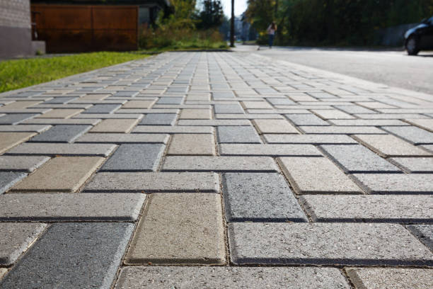 Best Brick Driveway Pavers  in Ensley, FL